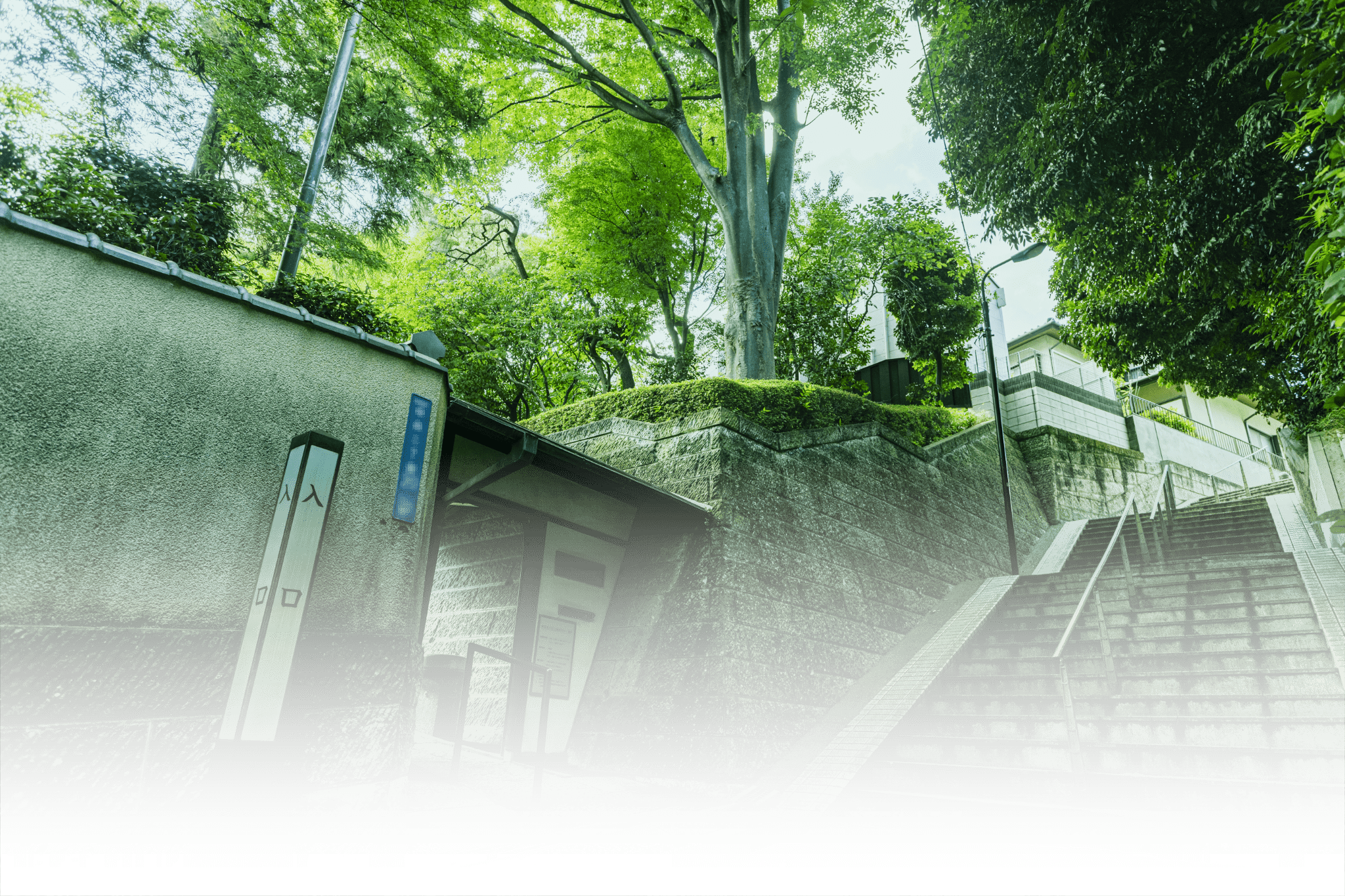 現地周辺の街並み（徒歩6〜7分・約460〜500ｍ）