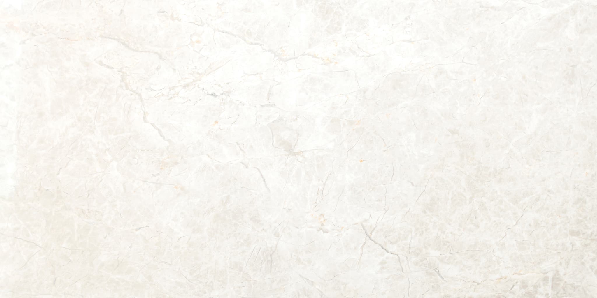 新宿区×第一種低層住居専用地域