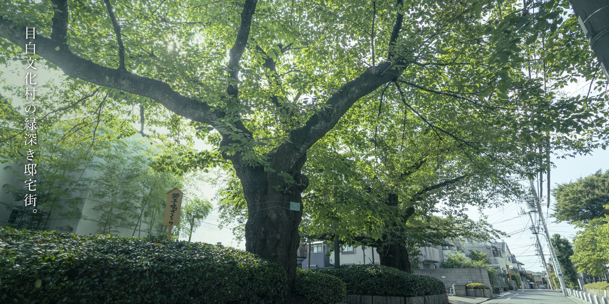 現地周辺の街並み（徒歩5分・約340〜370ｍ）