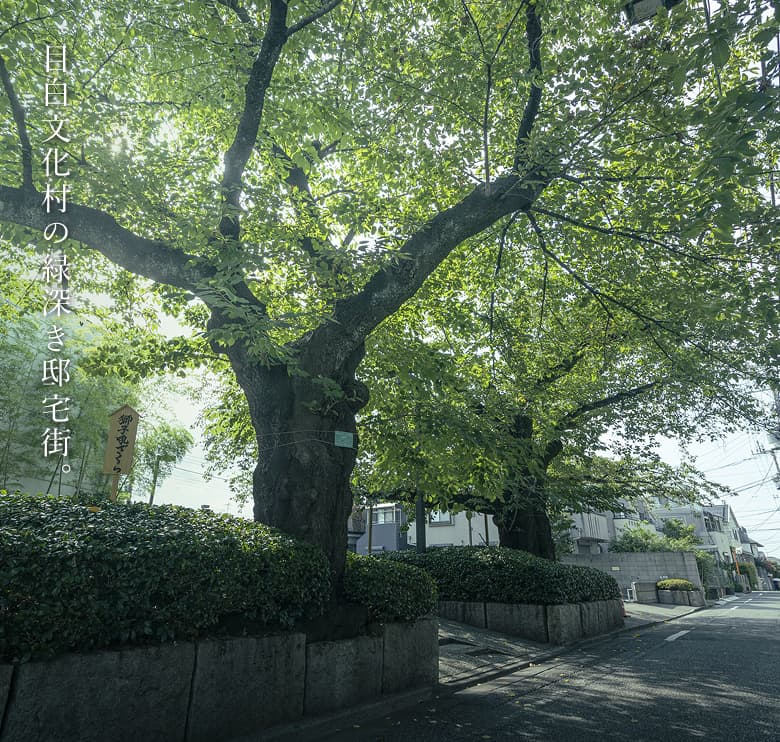 現地周辺の街並み（徒歩5分・約340〜370ｍ）