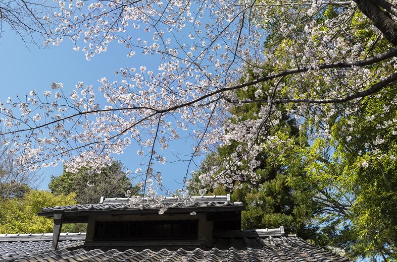 林芙美子記念館（徒歩6〜7分・約460〜500ｍ）