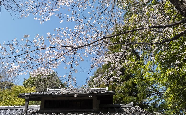 林芙美子記念館（徒歩6〜7分・約460〜500ｍ）